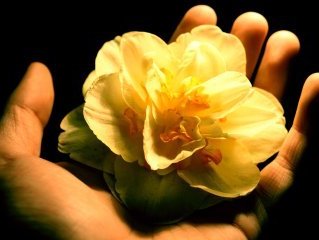 hand-flower